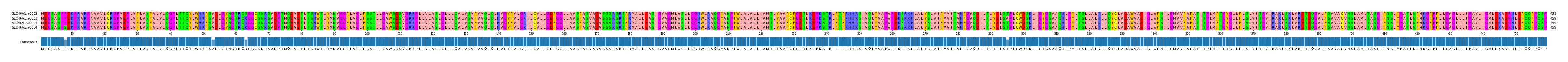 Multiple Alignments (by translate haplotype similarity)