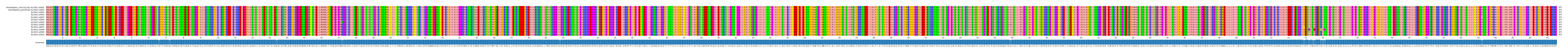Multiple Alignments (by translate haplotype frequency)