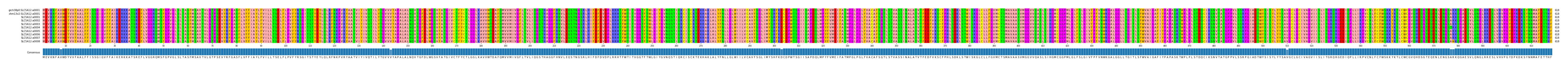 Multiple Alignments (by translate haplotype frequency)