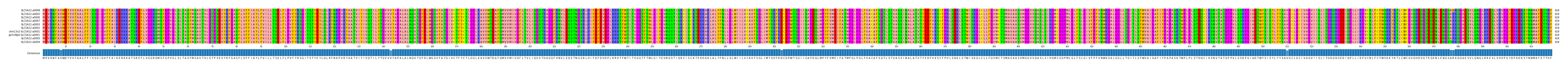 Multiple Alignments (by translate haplotype similarity)