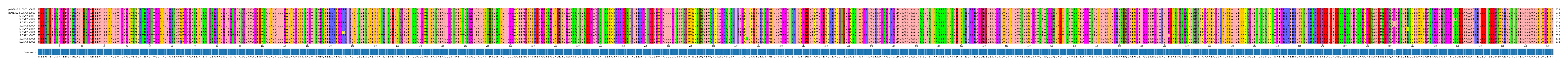 Multiple Alignments (by translate haplotype frequency)
