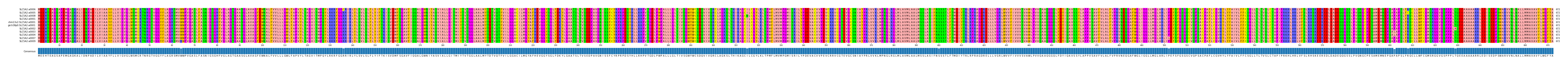 Multiple Alignments (by translate haplotype similarity)