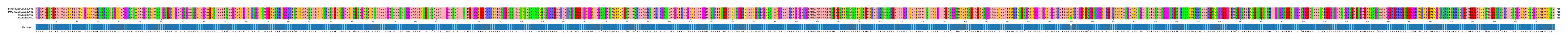 Multiple Alignments (by translate haplotype similarity)