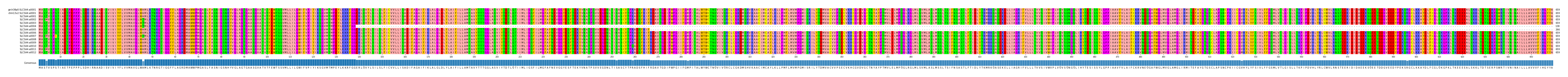 Multiple Alignments (by translate haplotype frequency)