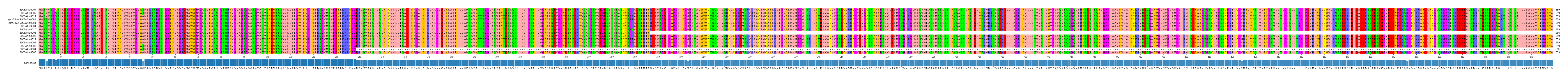 Multiple Alignments (by translate haplotype similarity)