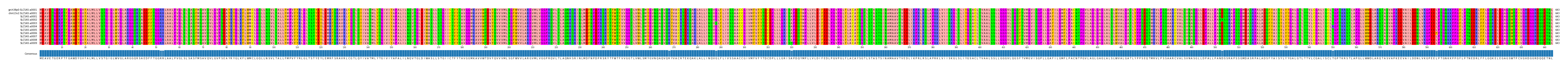 Multiple Alignments (by translate haplotype frequency)