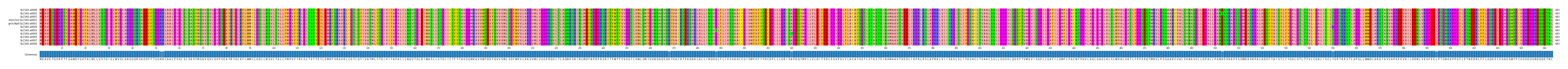Multiple Alignments (by translate haplotype similarity)