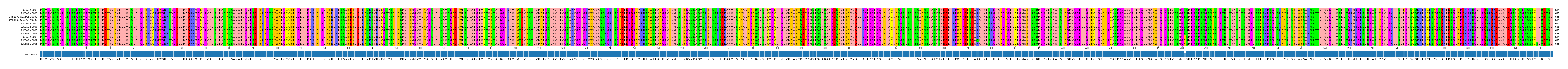 Multiple Alignments (by translate haplotype similarity)