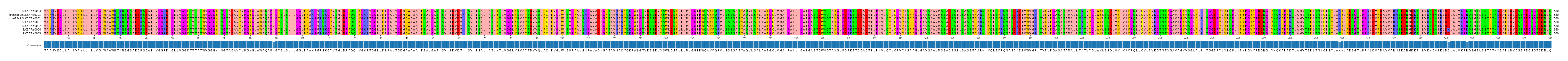 Multiple Alignments (by translate haplotype similarity)