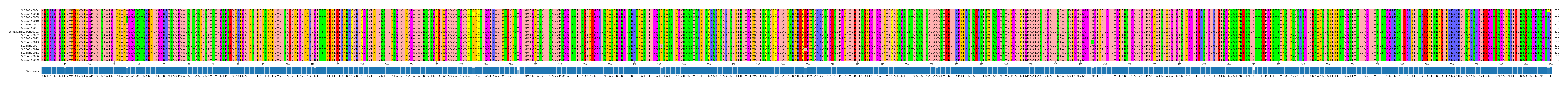 Multiple Alignments (by translate haplotype similarity)