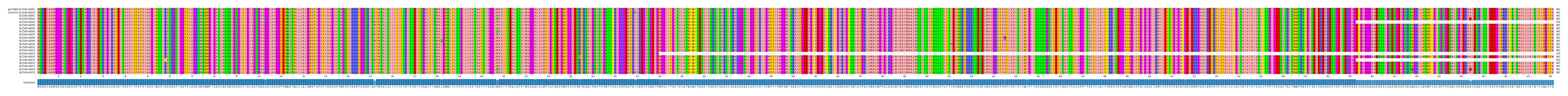 Multiple Alignments (by translate haplotype frequency)
