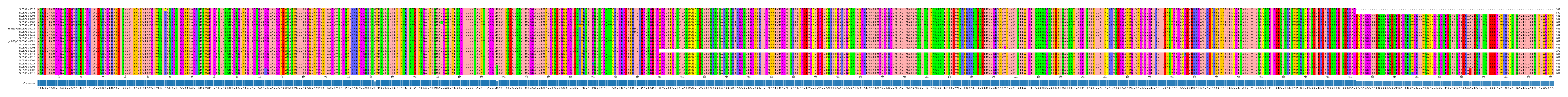 Multiple Alignments (by translate haplotype similarity)