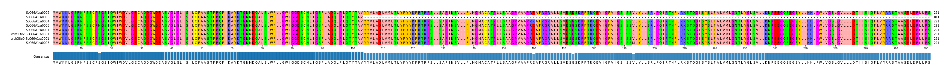 Multiple Alignments (by translate haplotype similarity)