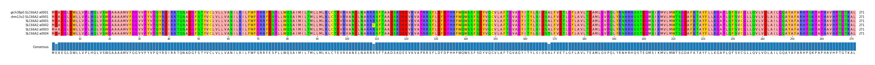 Multiple Alignments (by translate haplotype frequency)