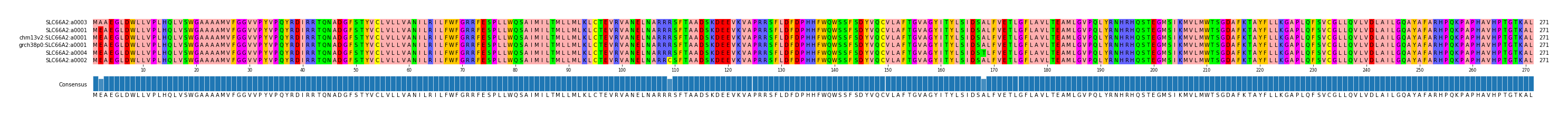 Multiple Alignments (by translate haplotype similarity)