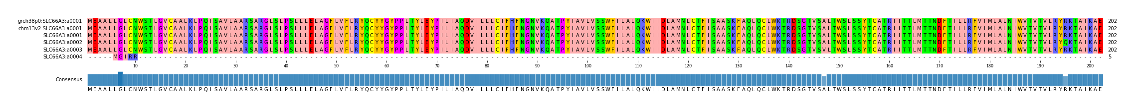 Multiple Alignments (by translate haplotype frequency)