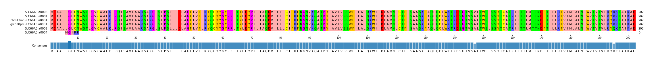 Multiple Alignments (by translate haplotype similarity)