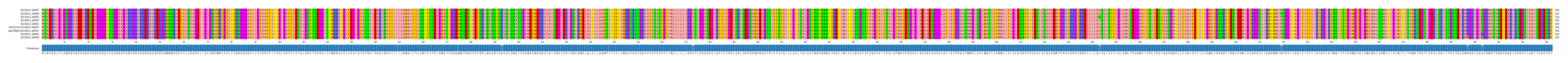 Multiple Alignments (by translate haplotype similarity)