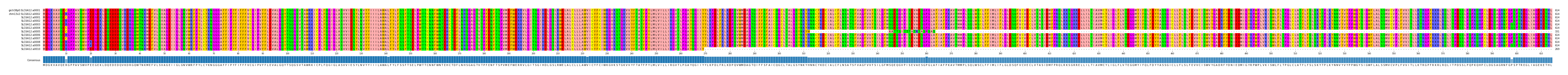 Multiple Alignments (by translate haplotype frequency)