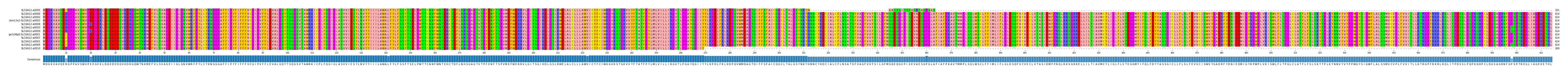 Multiple Alignments (by translate haplotype similarity)