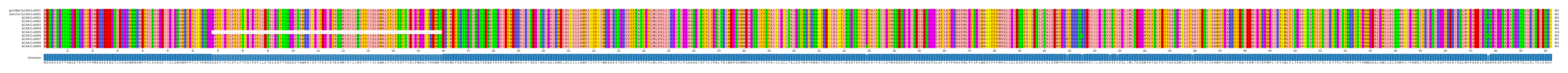 Multiple Alignments (by translate haplotype frequency)