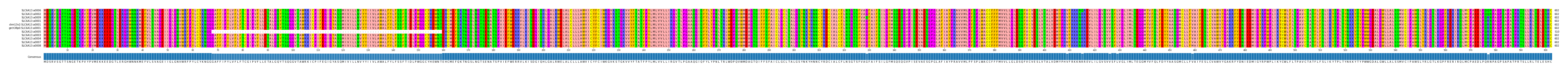Multiple Alignments (by translate haplotype similarity)