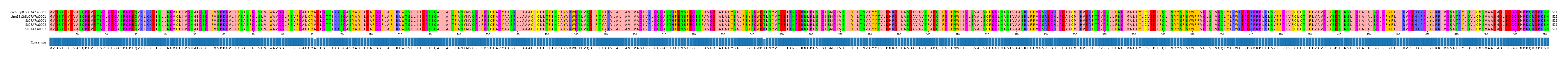 Multiple Alignments (by translate haplotype frequency)