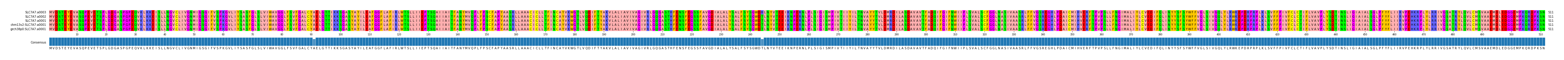 Multiple Alignments (by translate haplotype similarity)