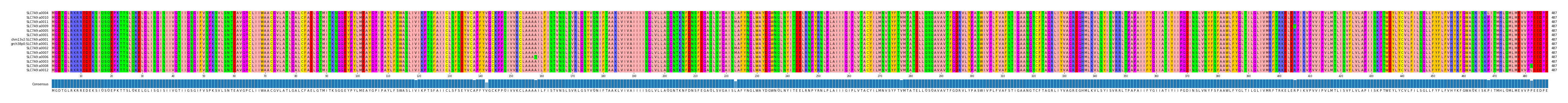 Multiple Alignments (by translate haplotype similarity)