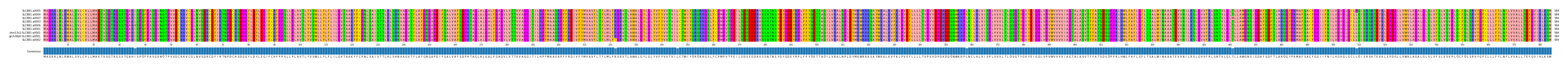 Multiple Alignments (by translate haplotype similarity)