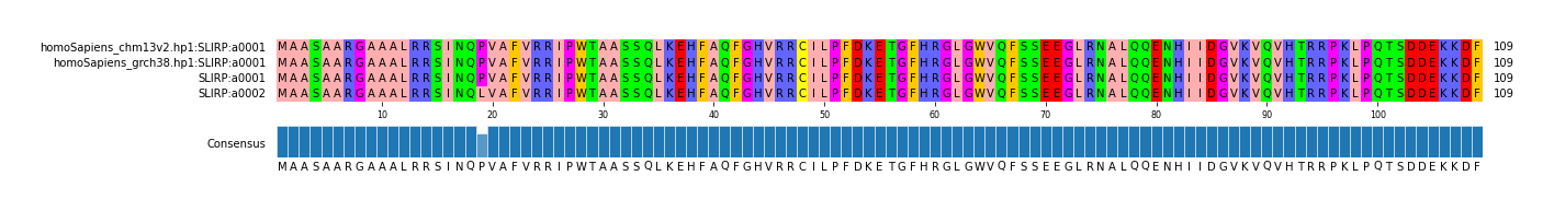 Multiple Alignments (by translate haplotype similarity)