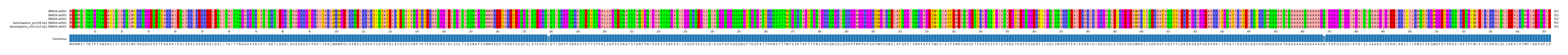 Multiple Alignments (by translate haplotype similarity)