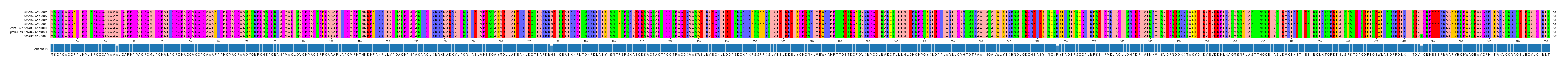 Multiple Alignments (by translate haplotype similarity)