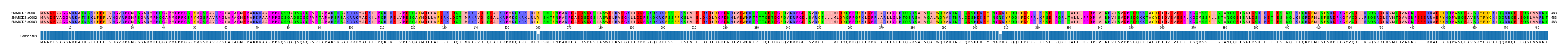 Multiple Alignments (by translate haplotype frequency)