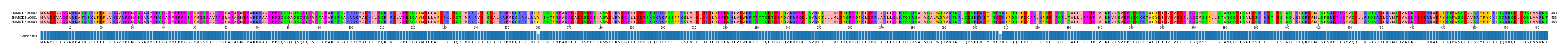 Multiple Alignments (by translate haplotype similarity)