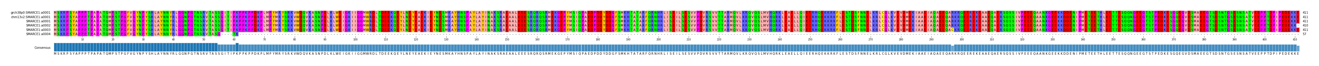 Multiple Alignments (by translate haplotype frequency)