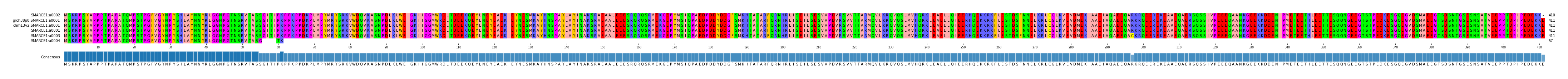Multiple Alignments (by translate haplotype similarity)