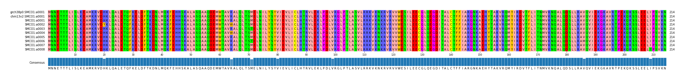 Multiple Alignments (by translate haplotype frequency)