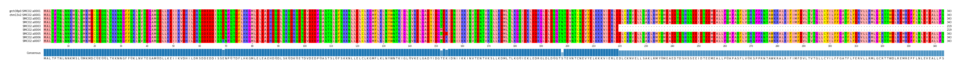 Multiple Alignments (by translate haplotype frequency)