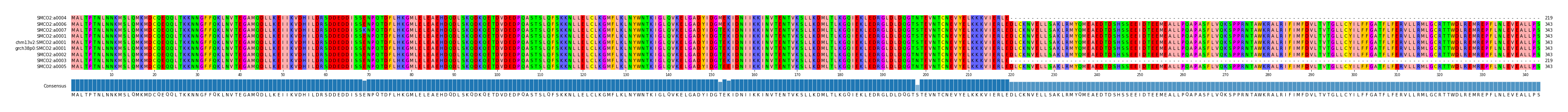Multiple Alignments (by translate haplotype similarity)