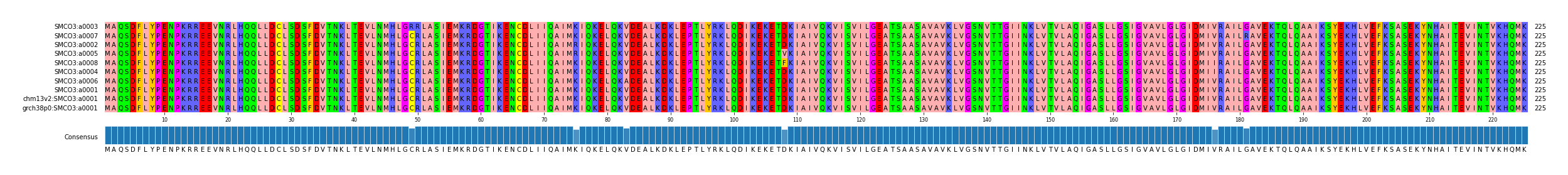 Multiple Alignments (by translate haplotype similarity)