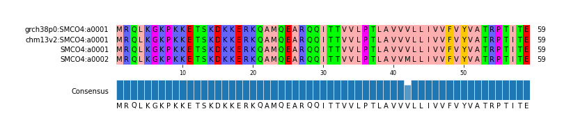 Multiple Alignments (by translate haplotype frequency)