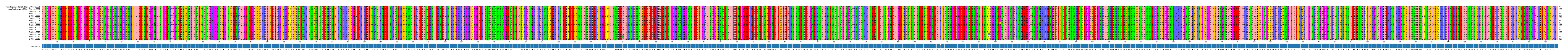 Multiple Alignments (by translate haplotype frequency)