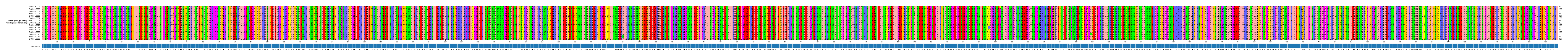 Multiple Alignments (by translate haplotype similarity)