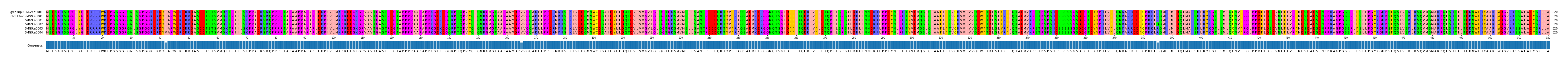 Multiple Alignments (by translate haplotype frequency)