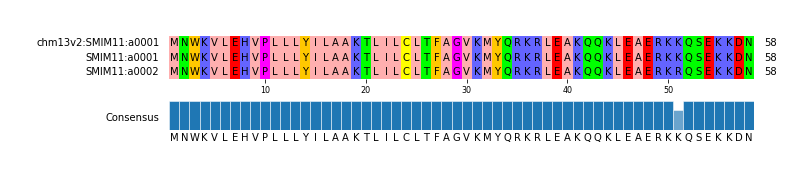 Multiple Alignments (by translate haplotype similarity)