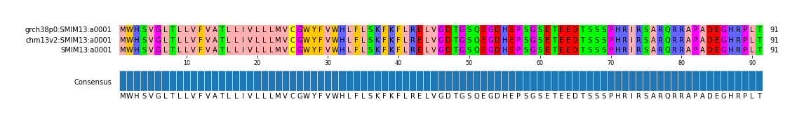 Multiple Alignments (by translate haplotype similarity)