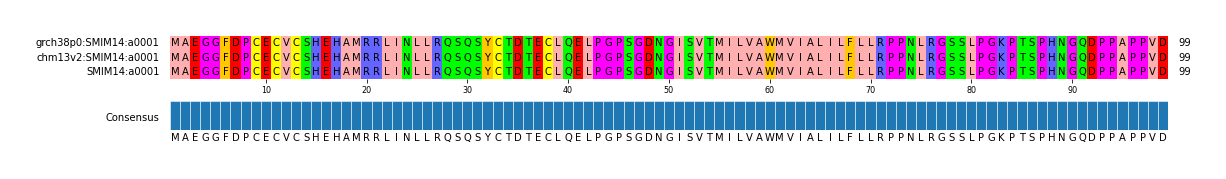 Multiple Alignments (by translate haplotype similarity)