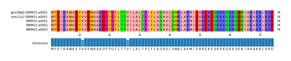 Multiple Alignments (by translate haplotype frequency)