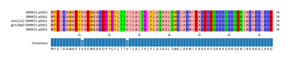 Multiple Alignments (by translate haplotype similarity)